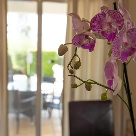 Thalassa With Private Pool Villa Coral Bay