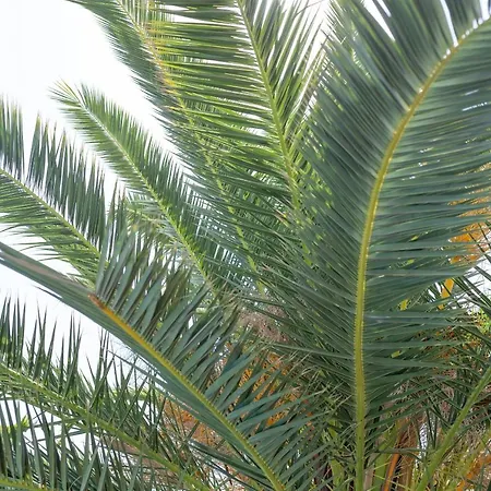 Thalassa With Private Pool * Coral Bay