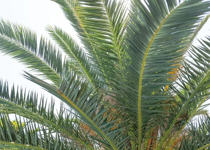 Thalassa With Private Pool * Coral Bay